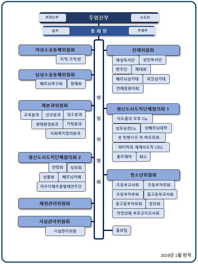 수지성당 조직표 — 주임신부 아래 총회장과 상임위원회, 그 아래 여성·남성소공동체위원회, 제분과위원회, 전례위원회, 평신도사도직단체협의회, 청소년위원회, 재정관리위원회, 시설관리위원회, 홍보팀