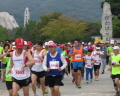 생명사랑 마라톤대회 (2015.10.3-수원교구)