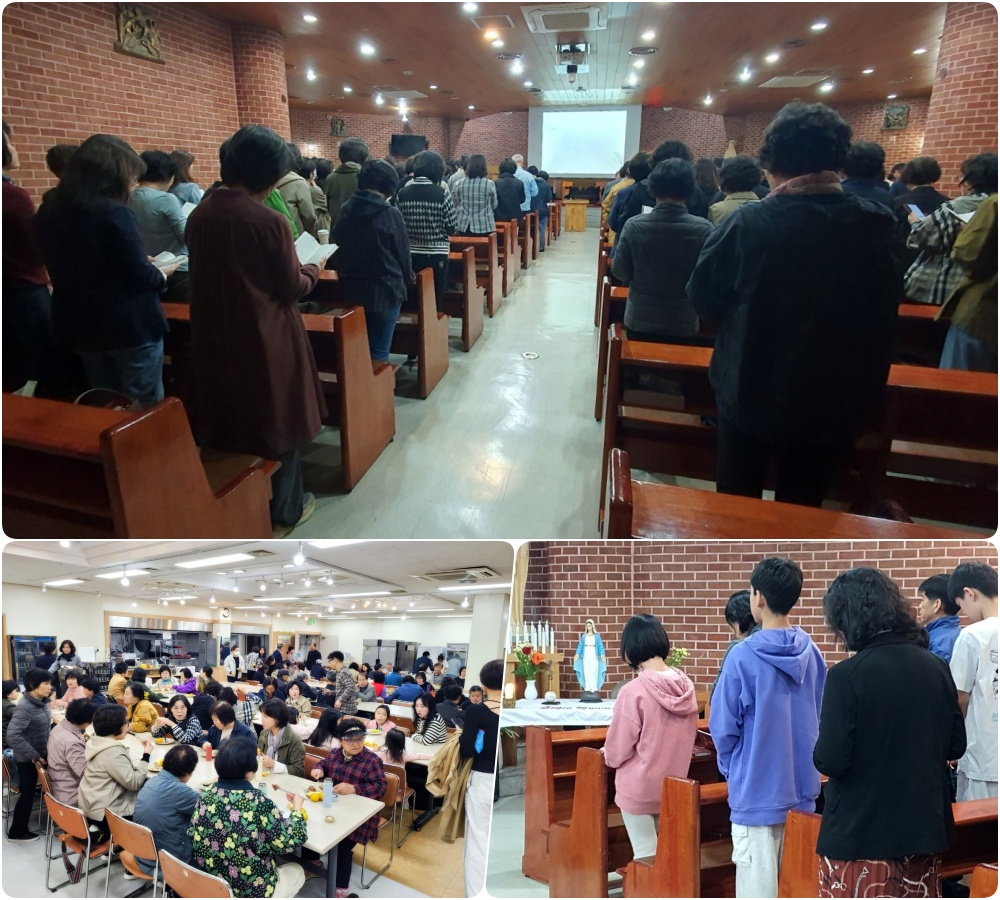 241020-본당꾸리아전단원교육