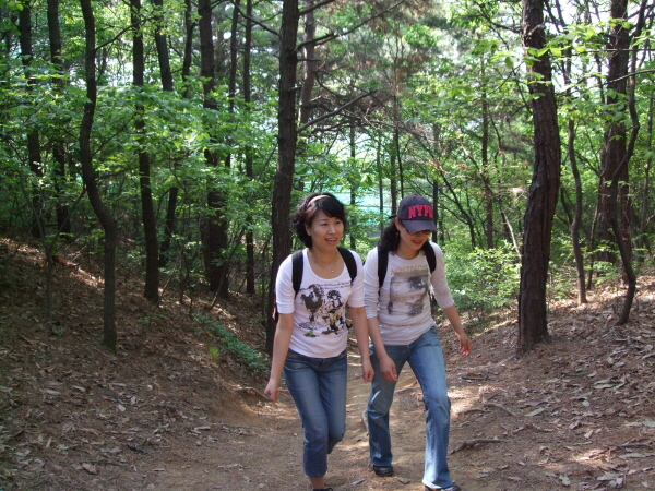 090509-손골성지 순교자 현양대회  