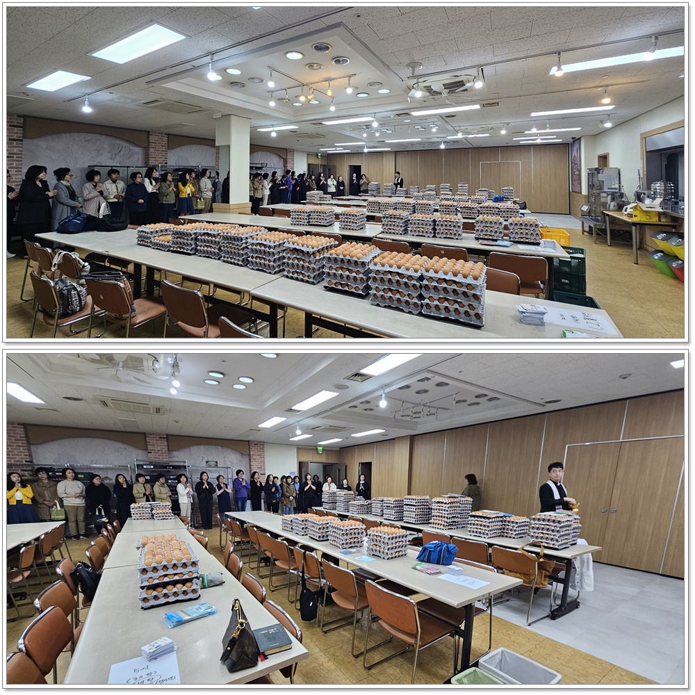 250418-부활달걀포장
