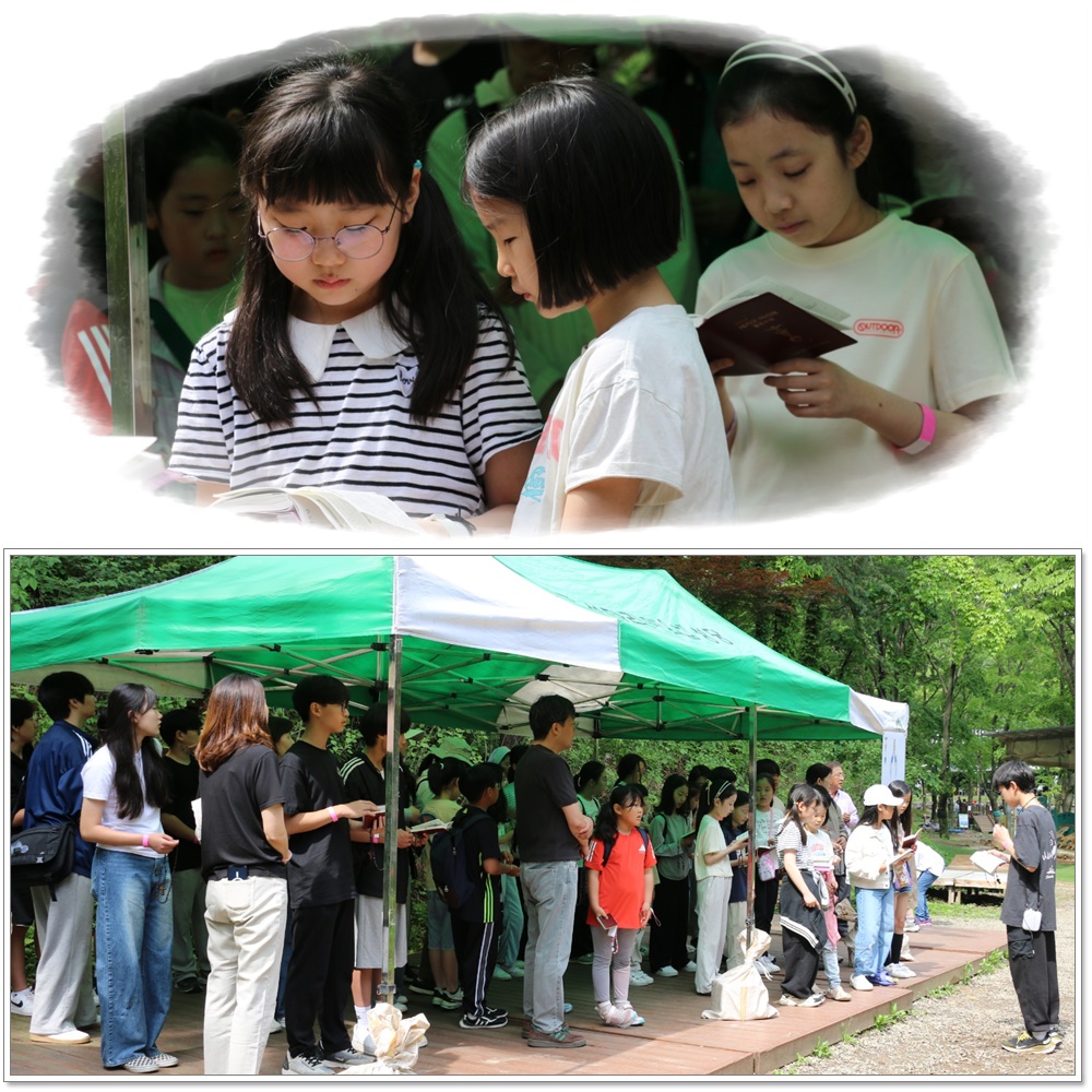 250517-바다의 별Pr.신비로운 장미Pr.야외행사