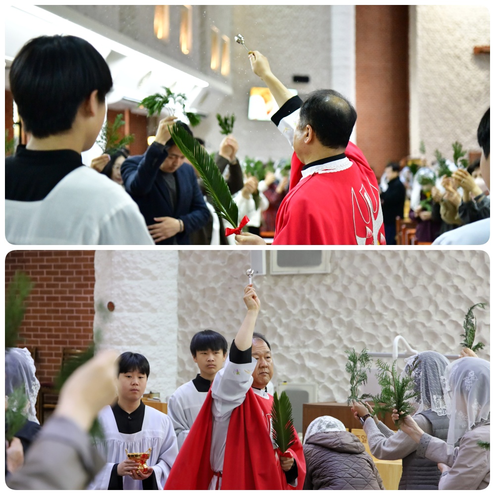 250413-주님수난 성지주일