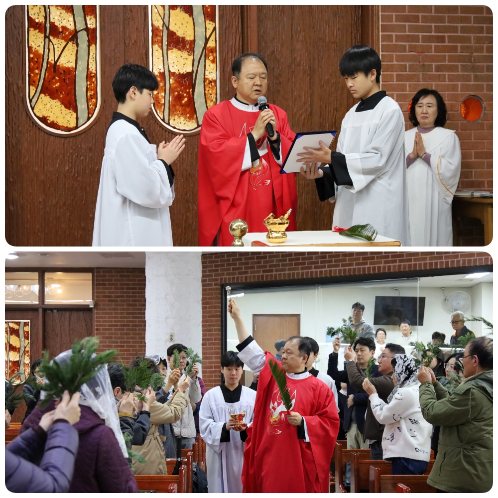 250413-주님수난 성지주일