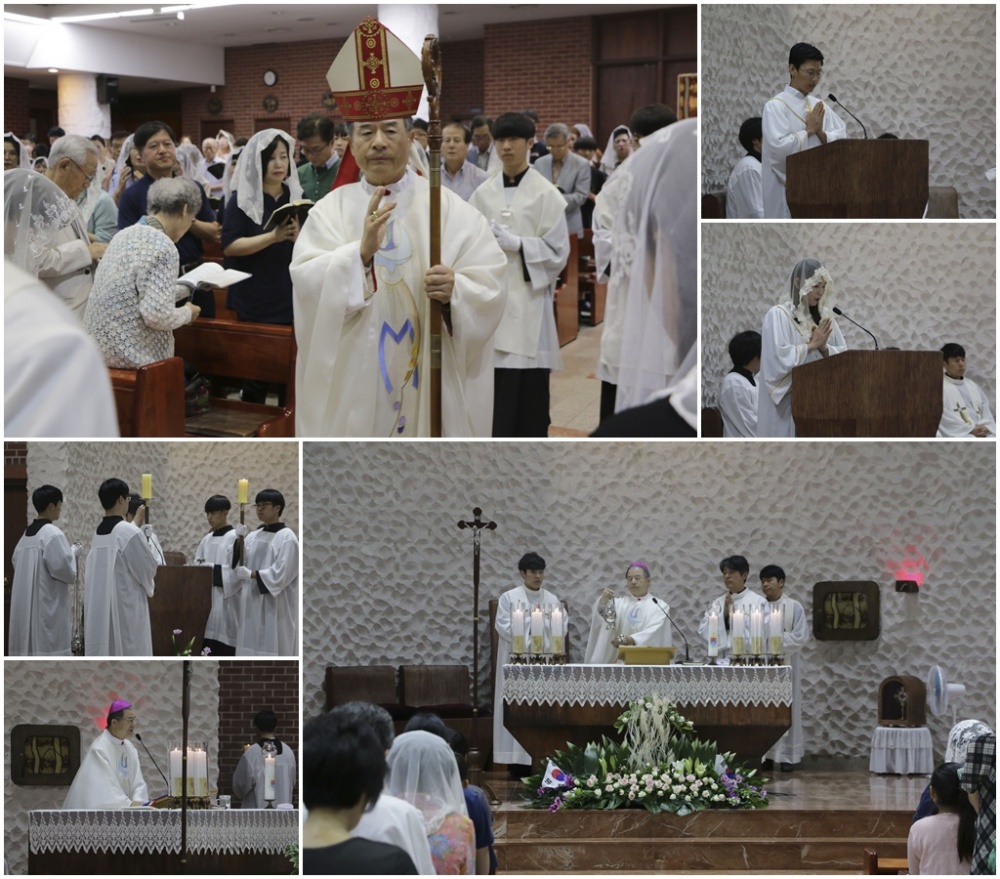 성모승천대축일 (20170815)