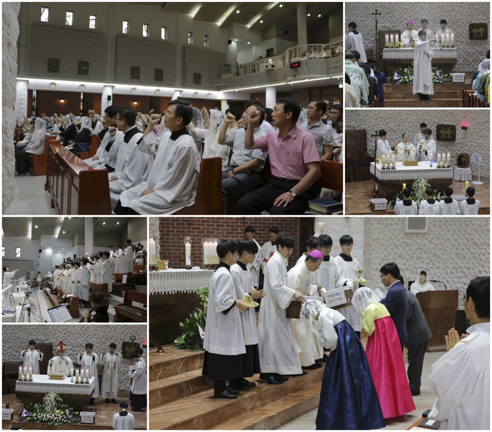성모승천대축일 (20170815)