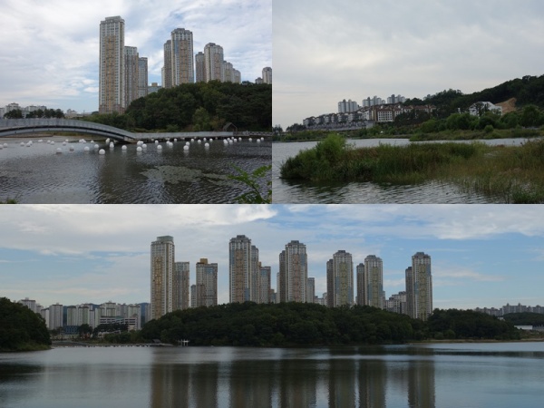 연사모 호수공원 트래킹