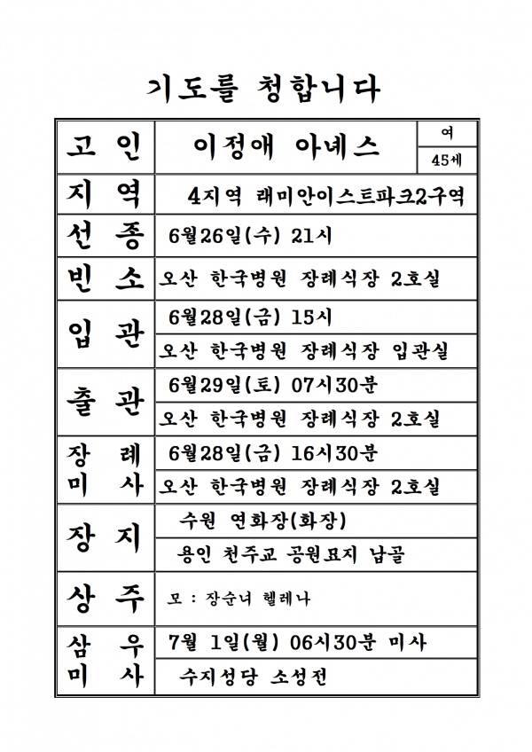 연도공지(이정애 아녜스)