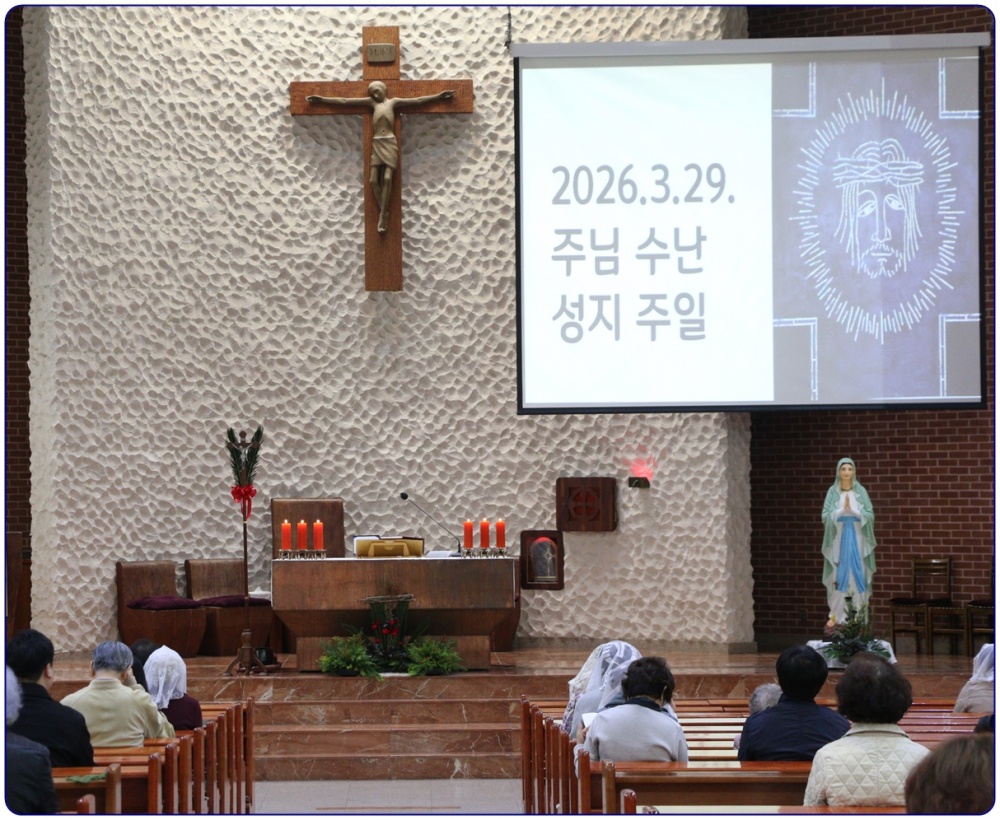 20260329-주님수난성지주일